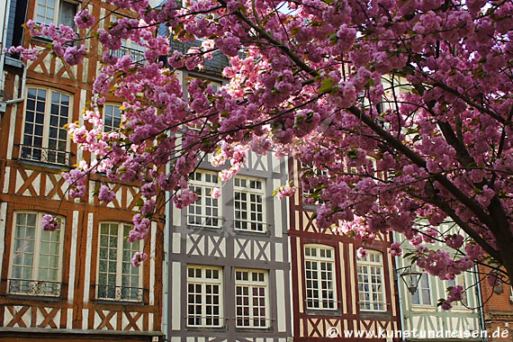 Kirschblüten, Rouen